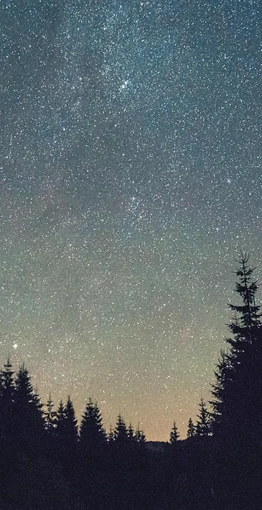 beautiful sky full with shiny stars